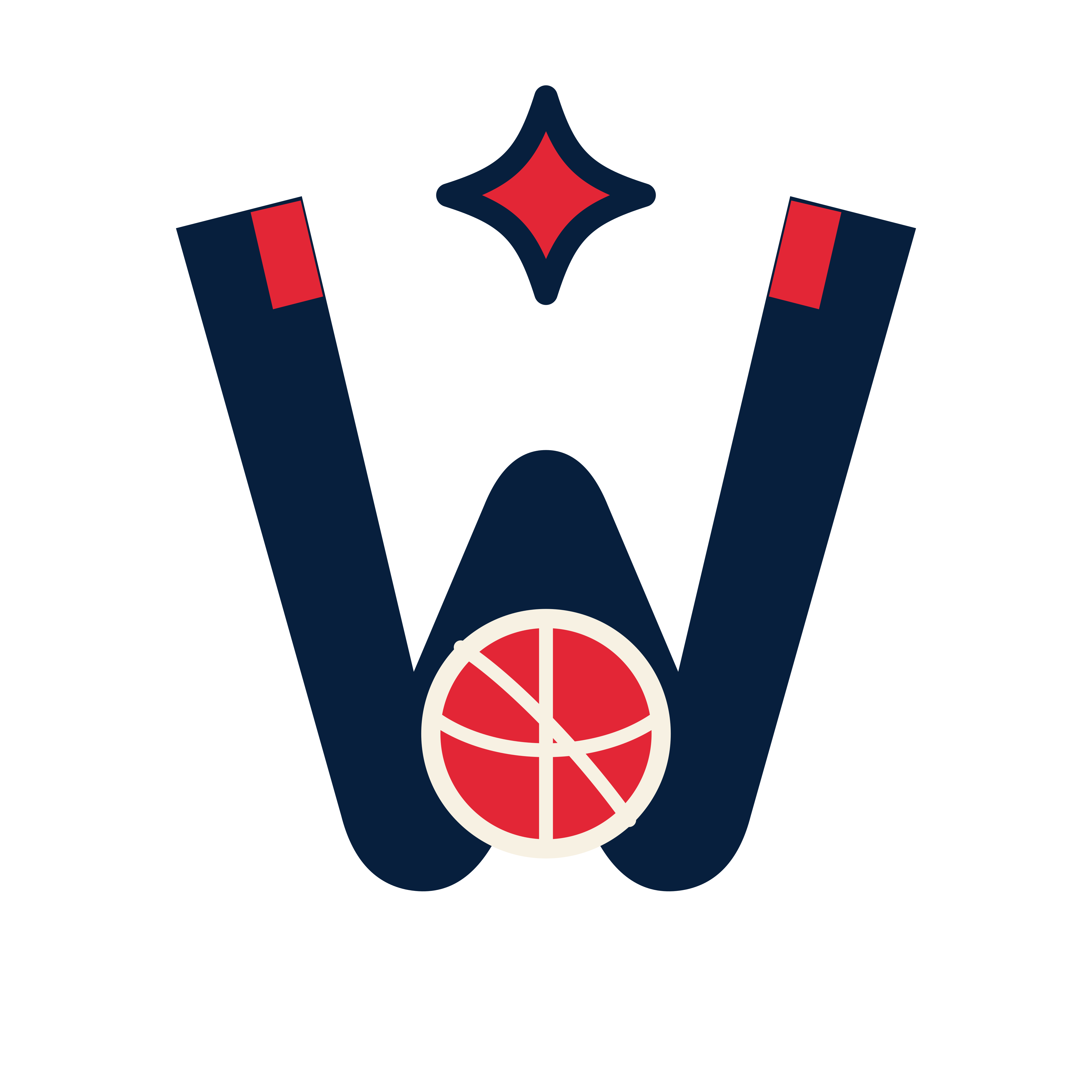 Washington WizKids athletic W basketball mark